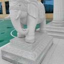 汕尾 白麻花岗岩动物异形石雕-大象