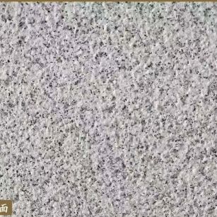 汕尾白麻荔枝面