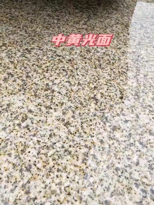 汕尾黄金麻中黄光面