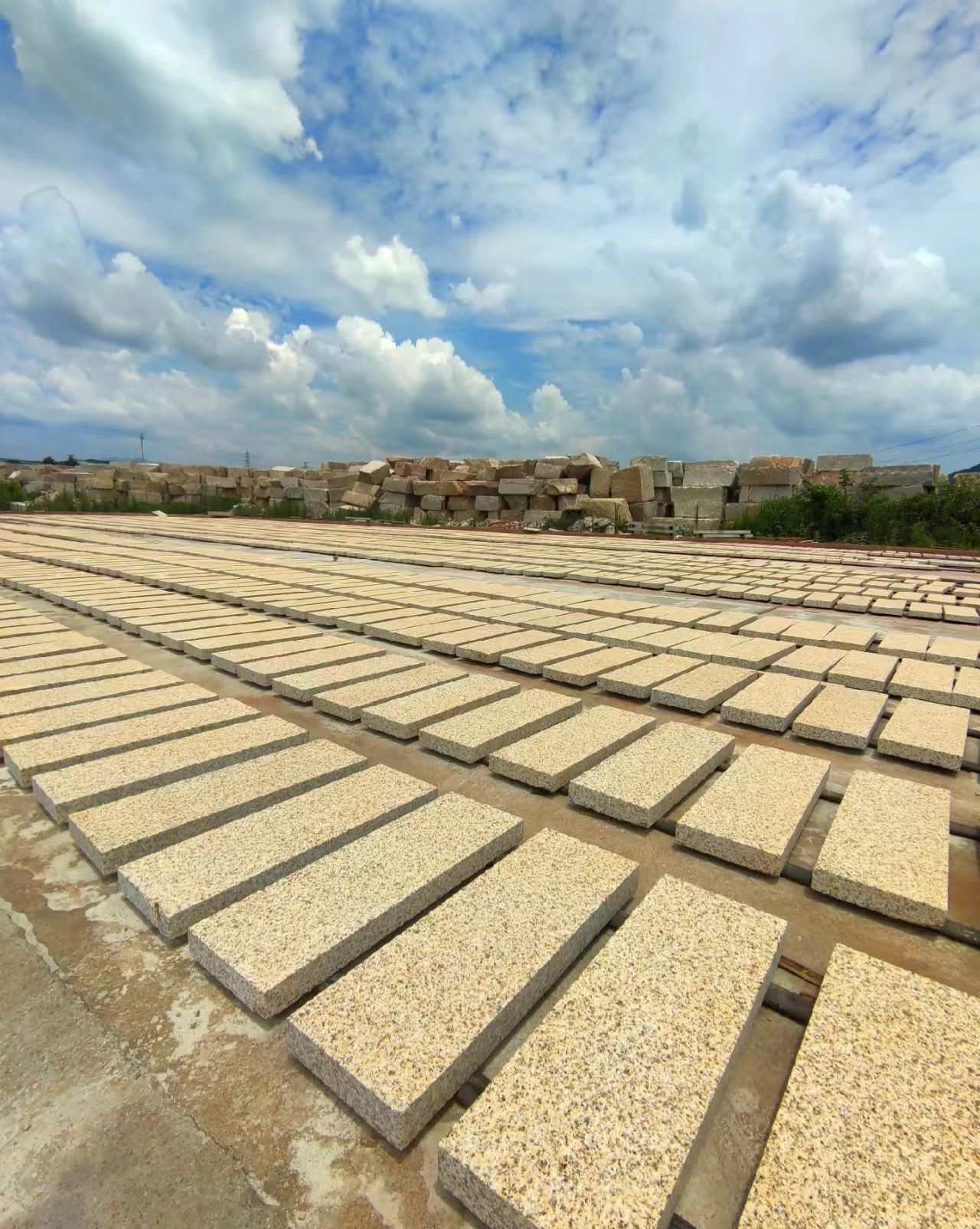 汕尾 黄金麻花岗岩荔枝面地铺石防护中