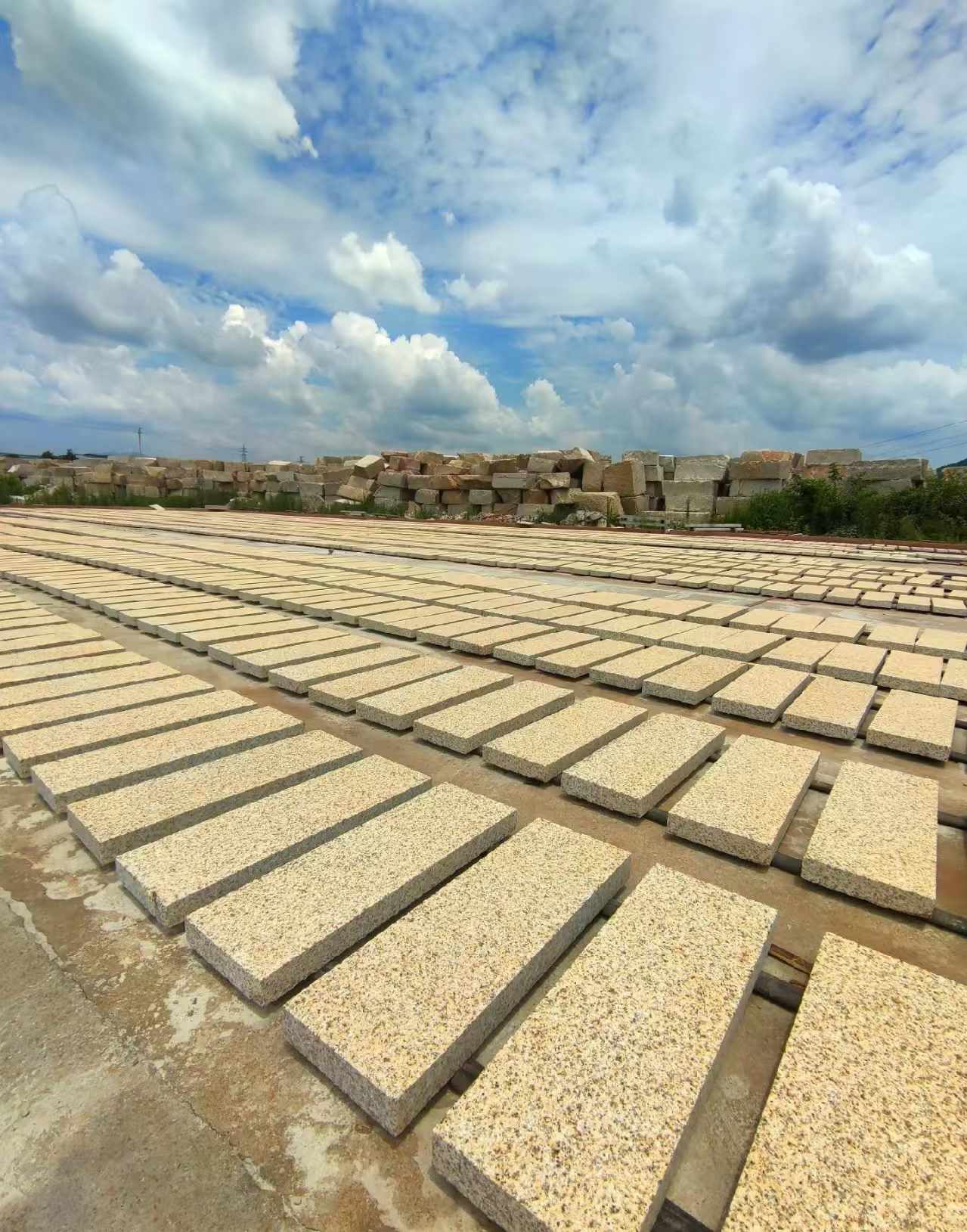 汕尾 黄金麻荔枝面花岗岩石材地铺石防护中