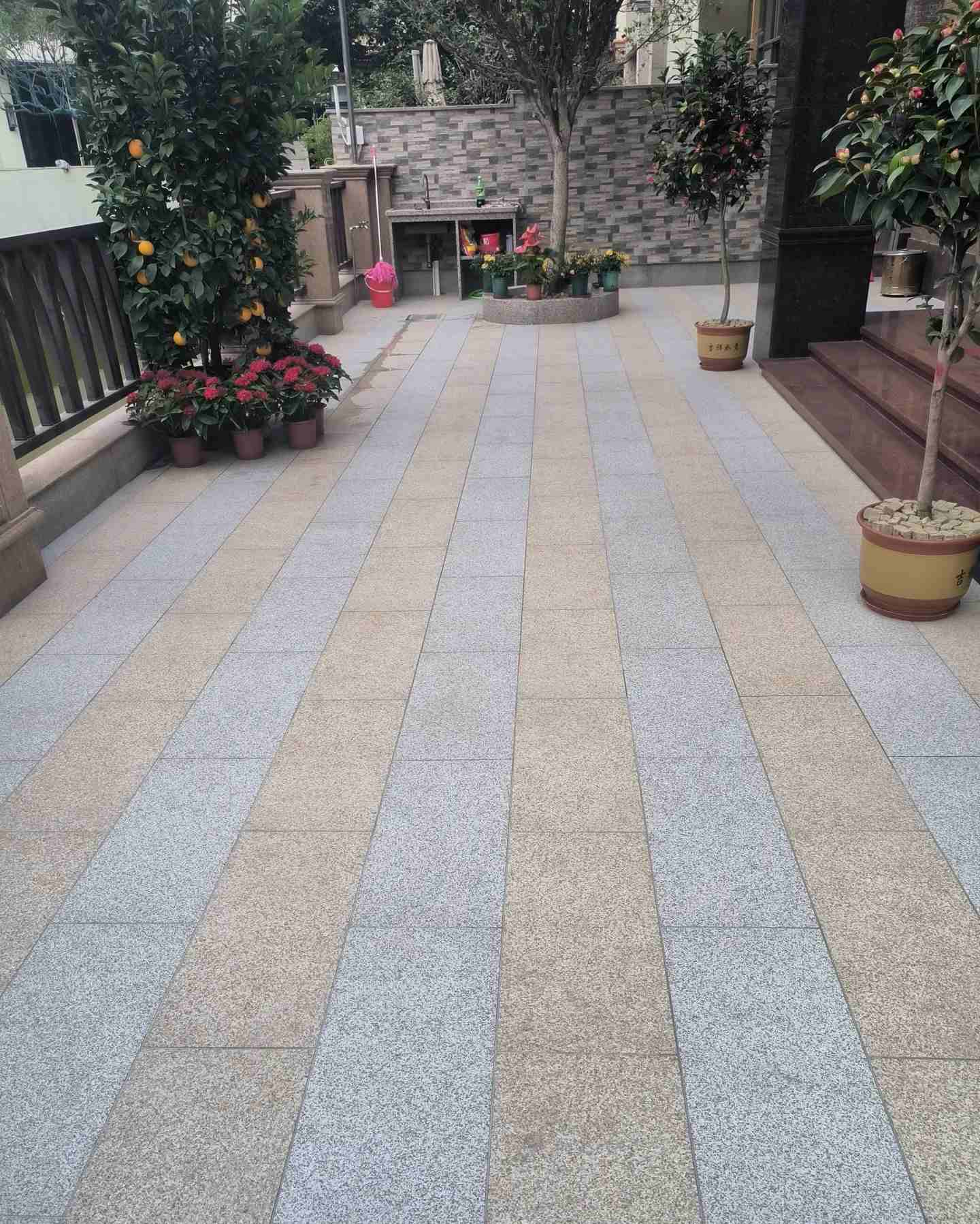 汕尾 黄金麻白麻荔枝面庭院铺装展示